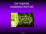 Database Administrator