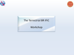 The Terrestrial BR IFIC Workshop