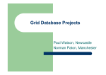 Grid Database Projects Paul Watson, Newcastle Norman Paton, Manchester