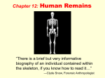 Human Remains ppt