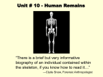 Unit # 10 - Human Remains