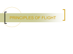 Principle of flight
