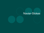 Navier-Stokes - Northern Illinois University
