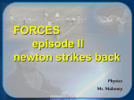 FORCES - Mr. Maloney