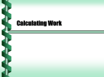 Calculating Work - Northern Illinois University
