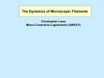The Dynamics of Microscopic Filaments