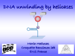 Helicases - Maintenance