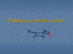 Chasing your tail for science.