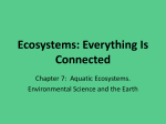 Ecosystems: Everything Is Connected