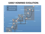 EARLY HOMININ EVOLUTION: