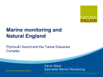 Marine monitoring in Plymouth