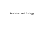 Evolution and Ecology Final Review