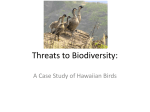 Threats to Biodiversity: