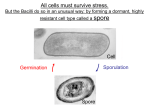 Slides for Dr. Driks talk