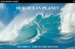 Section 03 - Life In The Oceans