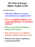 energyflow_2levels_l..