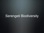 Africa Biodiversity PPT