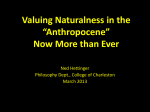Valuing Naturalness in the “Anthropocene” Now