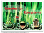 Intro to Ecosystems