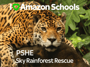 PSHE - Sky Rainforest Rescue
