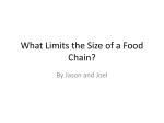 What Limits the Size of a Food Chain?