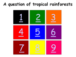A Question of Tropical Rainforests