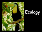 Ecology Unit