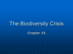 The Biodiversity Crisis - Tuscaloosa County High School
