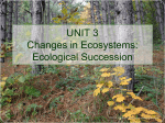 Ecological Succession