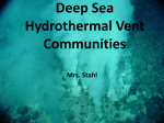 Deep Sea Hydrothermal Vent Communities