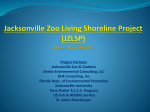 Jacksonville Zoo Living Shoreline January 2012