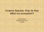 Invasive Species- How do they effect our ecosystem?