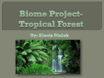 Biome Project - Alexis Bialek Portfolio