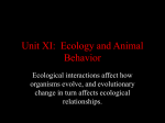 Unit XI: Ecology and Animal Behavior