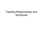 Feeding Relationships and Symbiosis