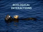 Ecological Interactions - Westhampton Beach Elementary School