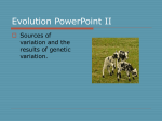 Evolution PowerPoint II