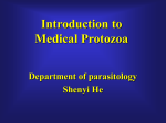 Medical Protozoa - Shandong University