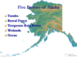 Five Biomes of Alaska - Anchorage School District