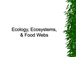 Ecology, Ecosystems and Food Webs