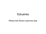 Estuaries - New Jersey City University [NJCU]