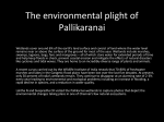The sad environmental plight of Pallikaranai – a