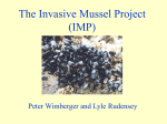 The Blue Mussel Project - University of Puget Sound