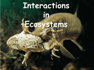 Interactions - ScienceGeek.net