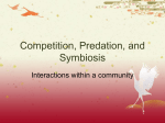 Competition, Predation, and Symbiosis