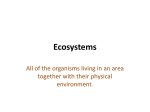 Ecosystems