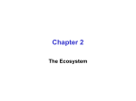 Chapter 1