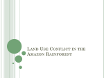 Land Use Conflict in the Amazon Rainforest