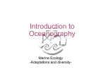 Chapter 9 Marine Ecology