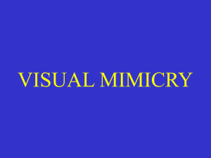 VISUAL MIMICRY - Vision in Cichlids